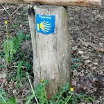 Am Mit Ruderboot Feriehus *
