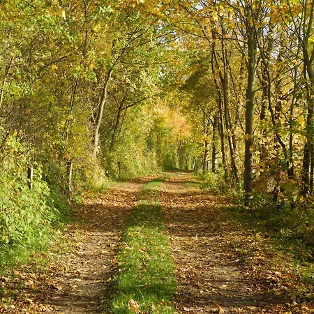 Am Mit Ruderboot بيت للعطل *